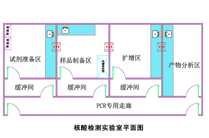 PCR實(shí)驗(yàn)室建設(shè)